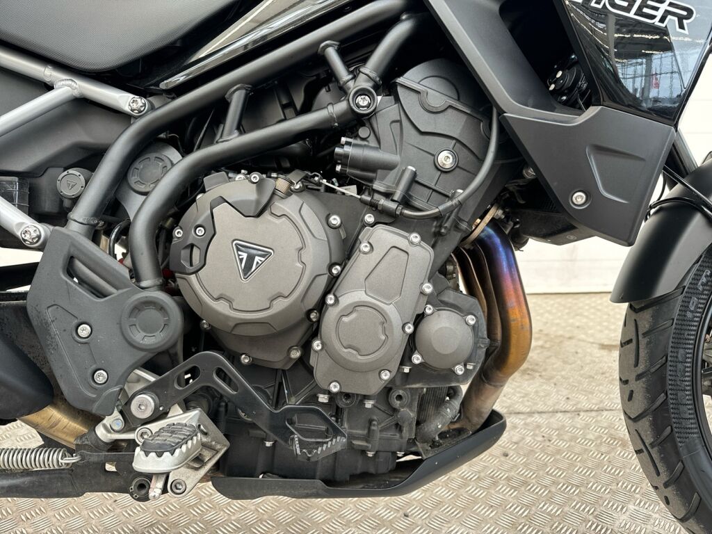 Triumph TIGER 2022 