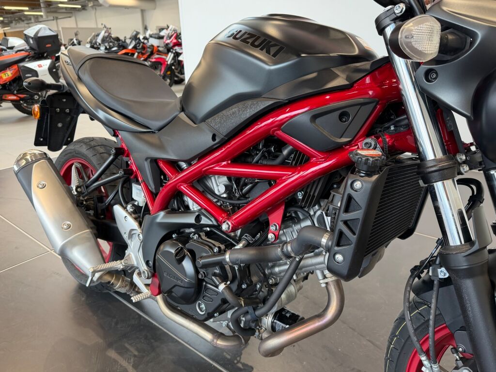 Suzuki SV 2020 