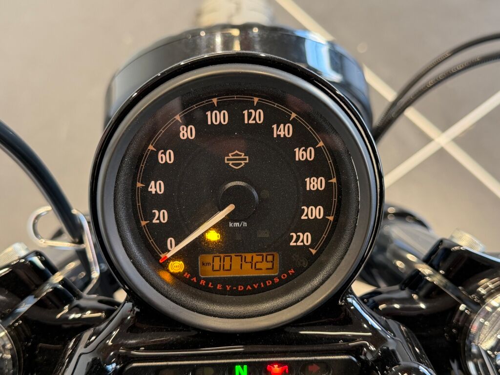 Harley-davidson Sportster 2019 Valkoinen