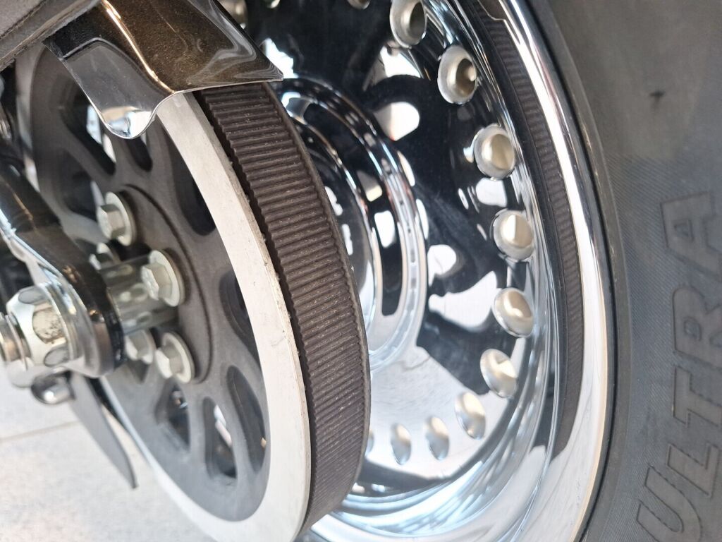 Harley-davidson SOFTAIL 2014 