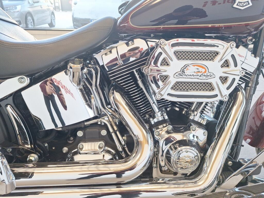 Harley-davidson SOFTAIL 2014 