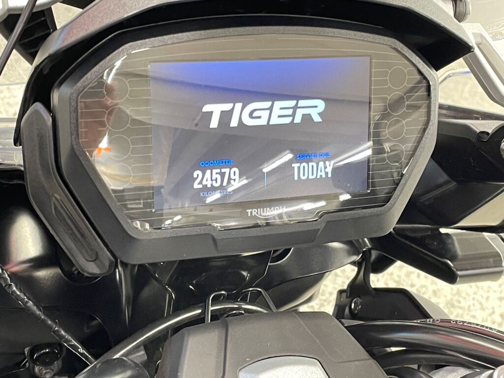 Triumph TIGER 2018 Sininen