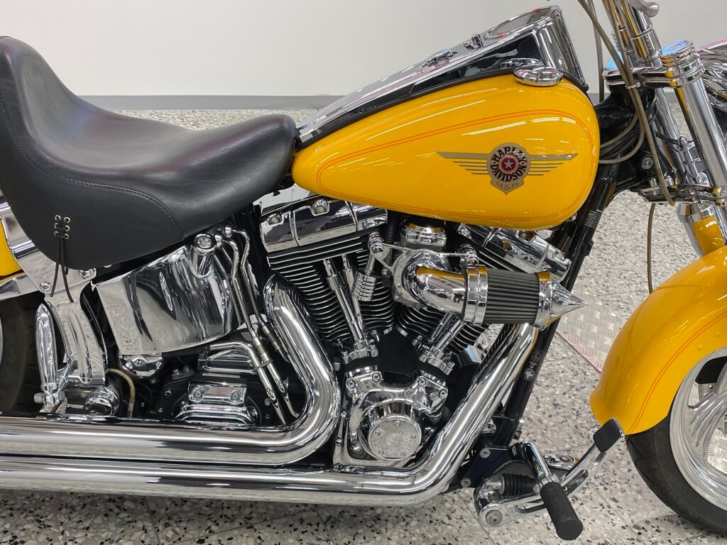 Harley-davidson SOFTAIL 2000 