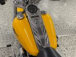 Harley-davidson SOFTAIL 2000 