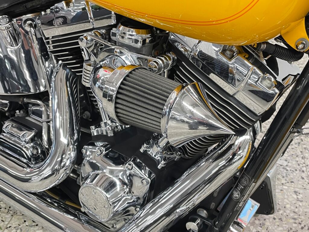 Harley-davidson SOFTAIL 2000 
