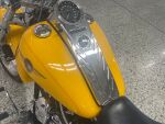 Harley-davidson SOFTAIL 2000 
