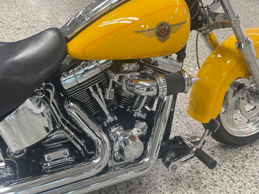 Harley-davidson SOFTAIL 2000 