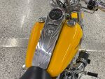 Harley-davidson SOFTAIL 2000 
