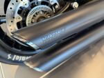 Indian Scout 2020 