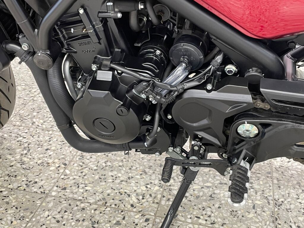 Benelli LEONCINO 2021 