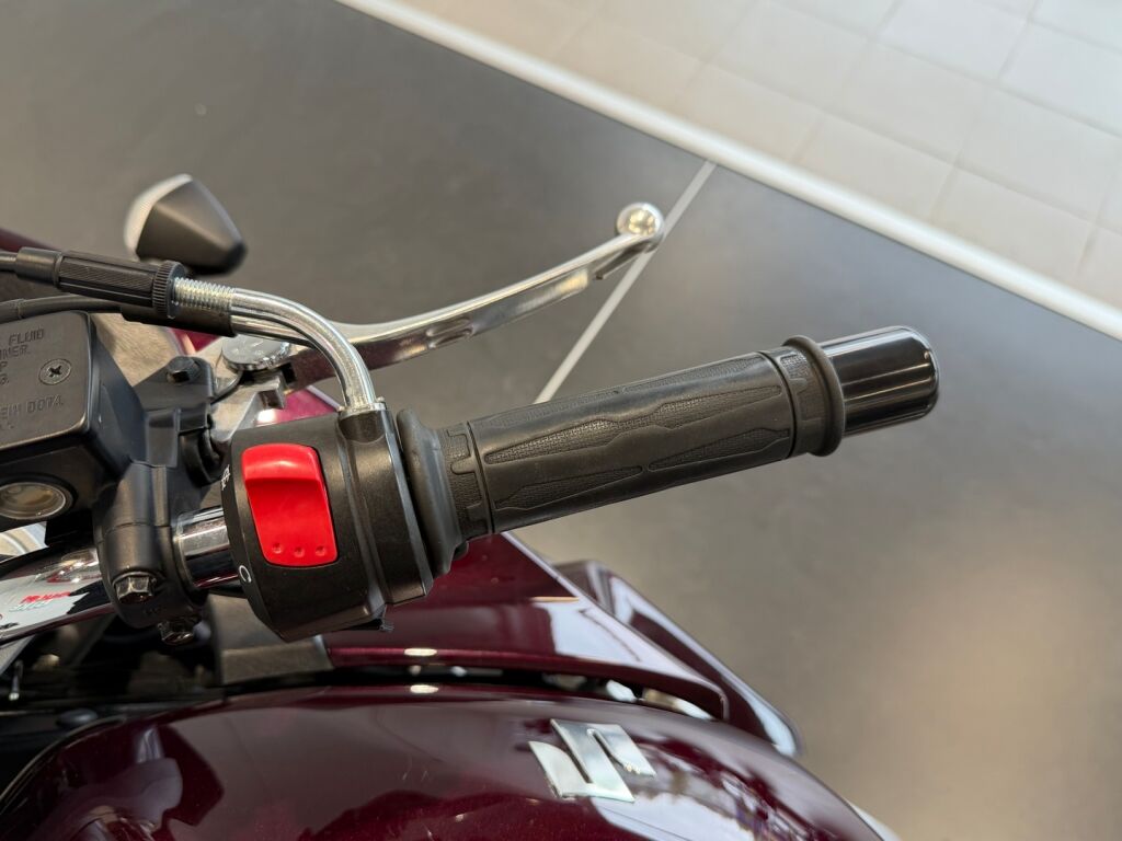 Suzuki GSF 2010 