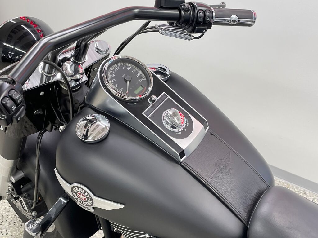 Harley-davidson SOFTAIL 2011 
