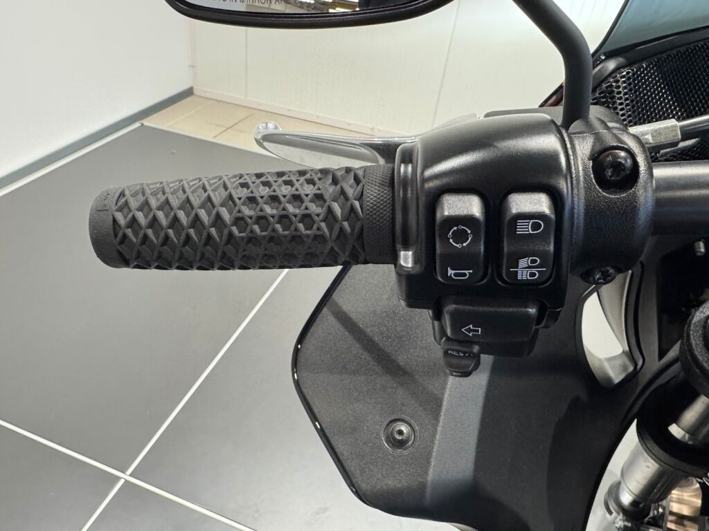 Harley-davidson SOFTAIL 2023 