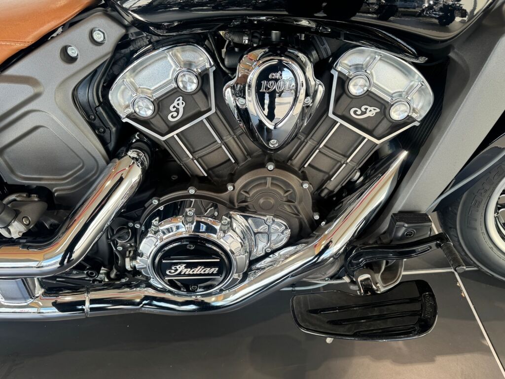 Indian Scout 2020 