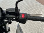 Kawasaki Z 2024 