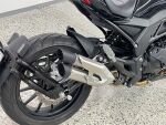 Benelli 502 CRUISER 2025 