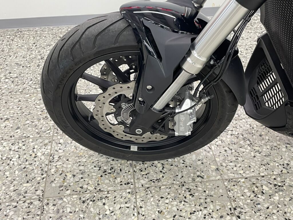 Benelli 502 CRUISER 2025 