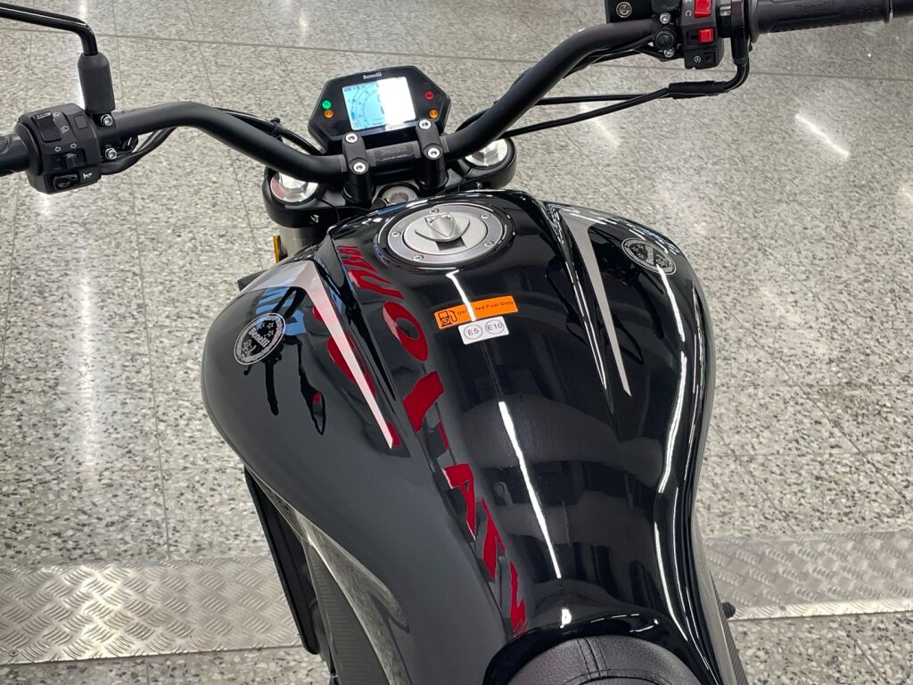 Benelli 502 CRUISER 2025 