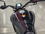 Benelli 502 CRUISER 2025 