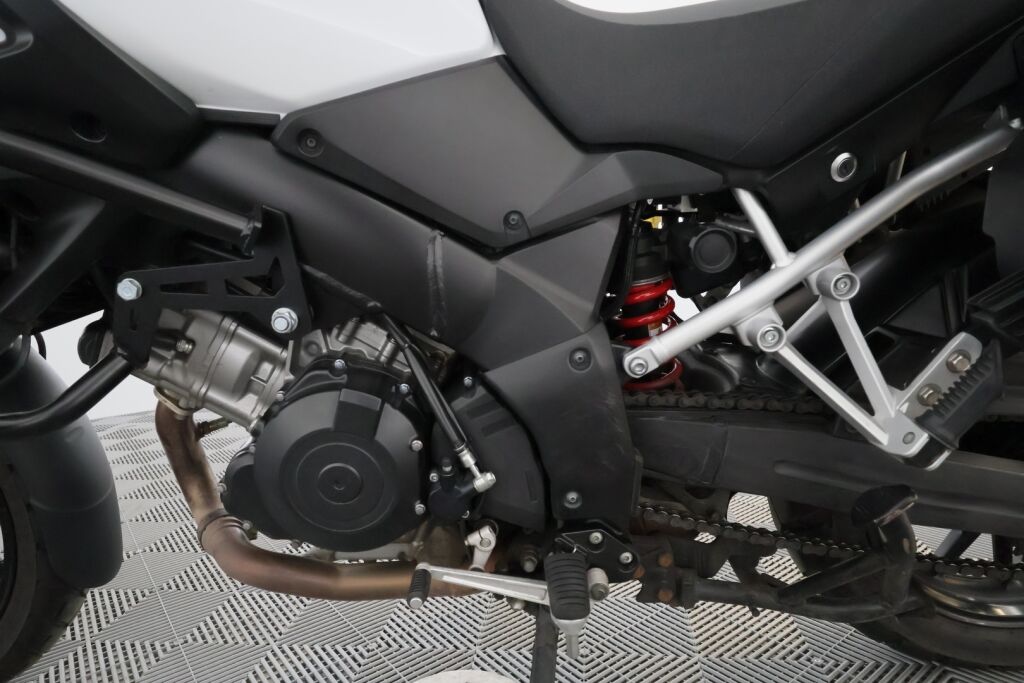 Suzuki DL 2016 Valkoinen