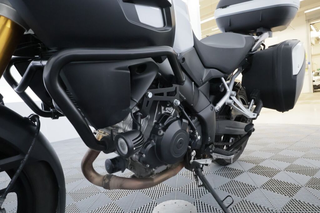 Suzuki DL 2016 Valkoinen