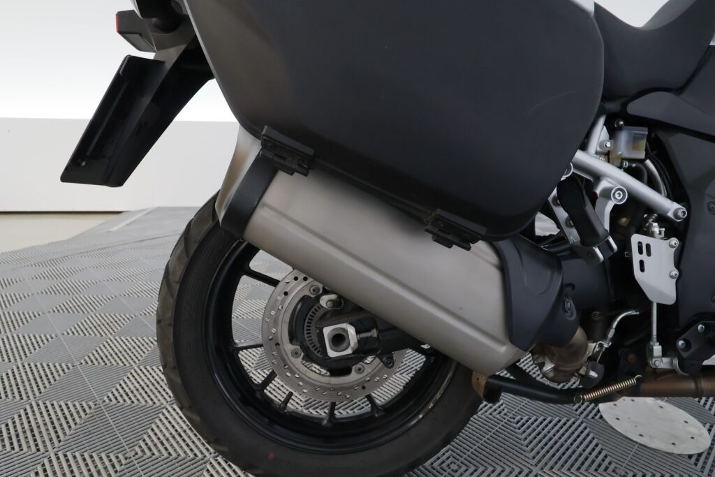 Suzuki DL 2016 Valkoinen