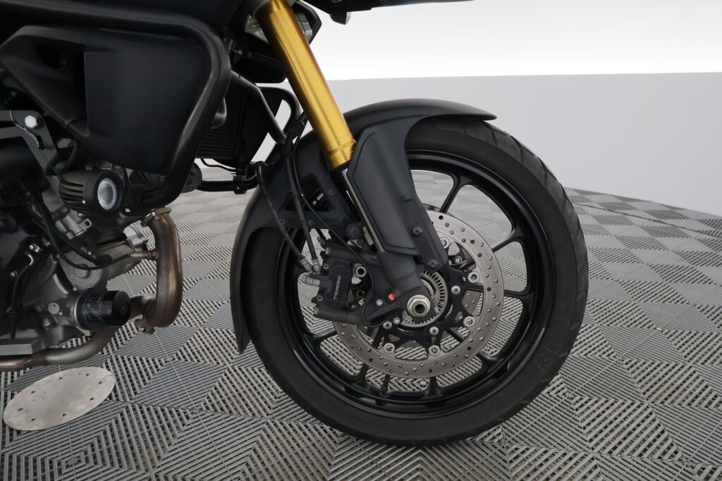 Suzuki DL 2016 Valkoinen