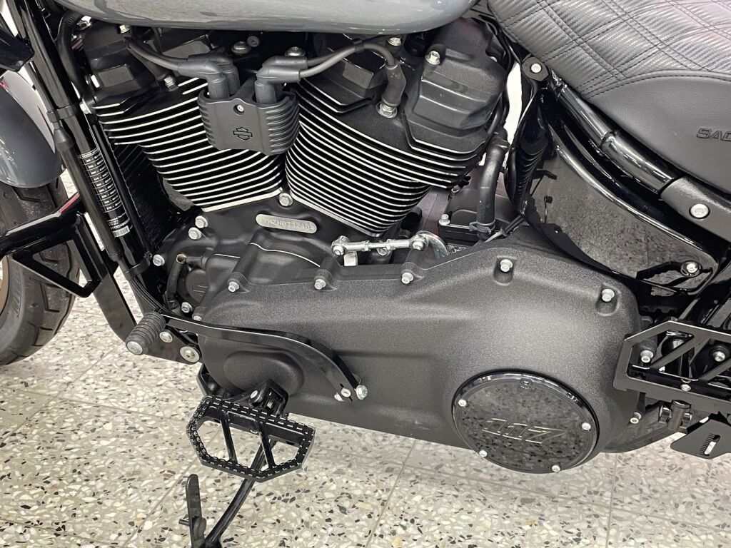 Harley-davidson SOFTAIL 2022 