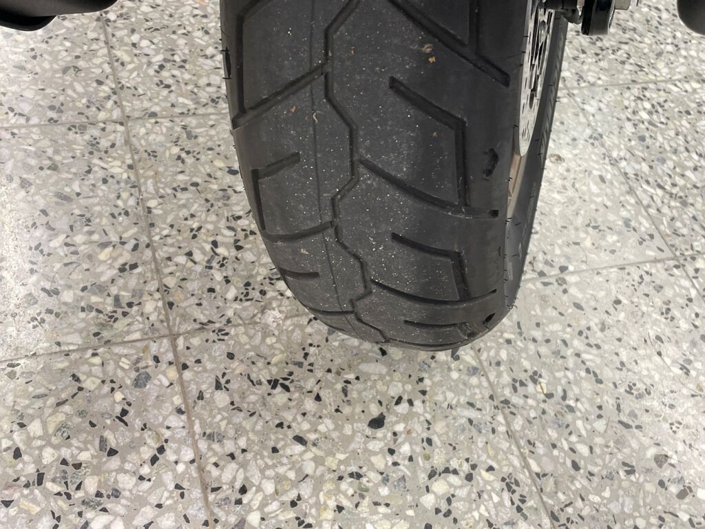 Harley-davidson SOFTAIL 2022 