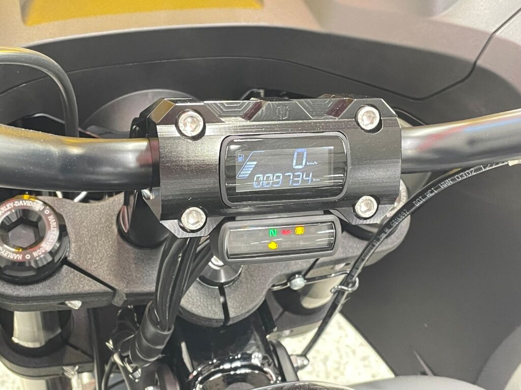 Harley-davidson SOFTAIL 2022 