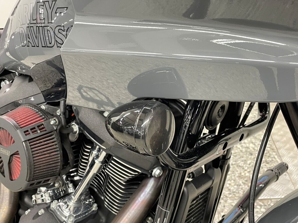 Harley-davidson SOFTAIL 2022 