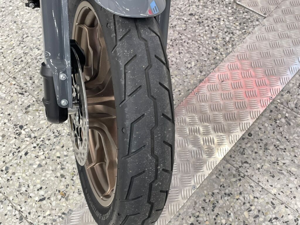 Harley-davidson SOFTAIL 2022 