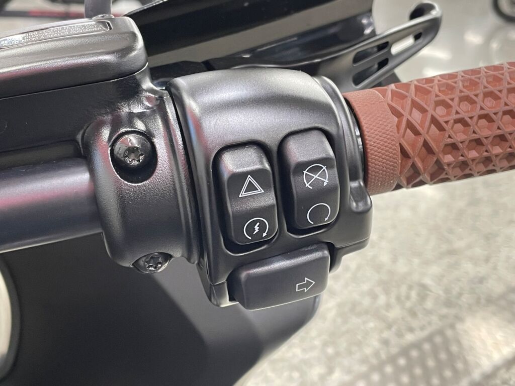 Harley-davidson SOFTAIL 2022 