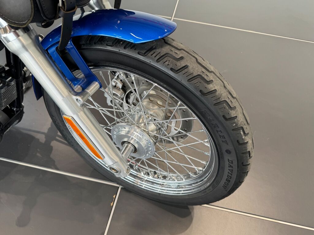 Harley-davidson SPORTSTER 2010 Sininen