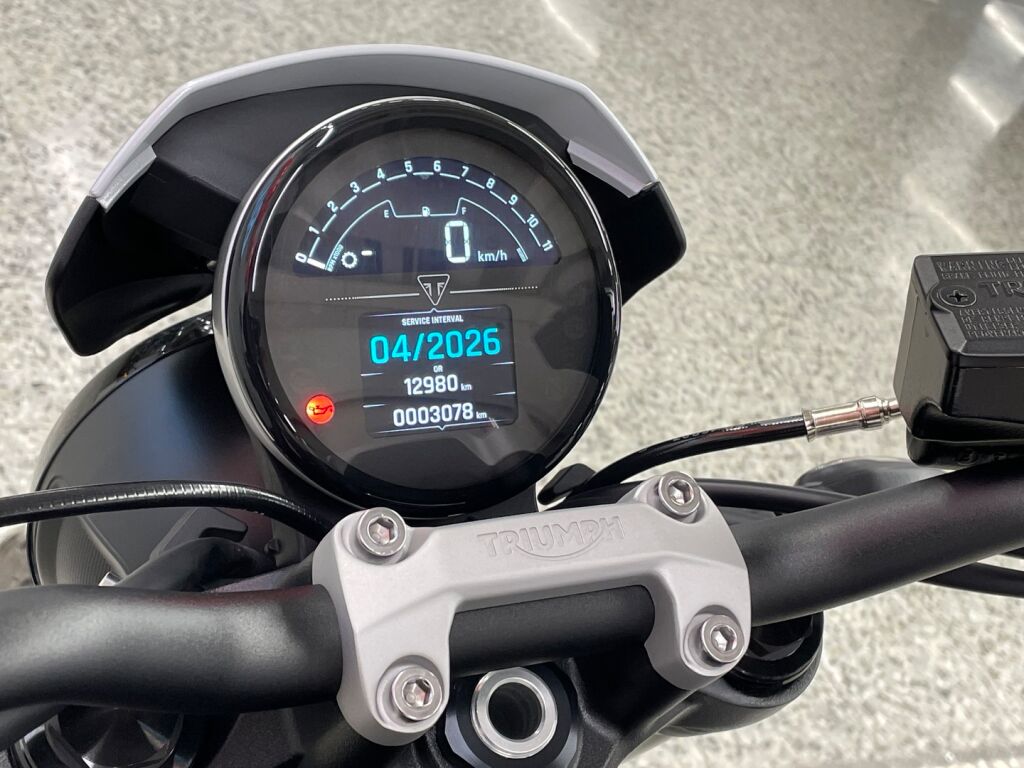 Triumph Trident 2024 