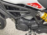 Ducati MONSTER 2019 Valkoinen