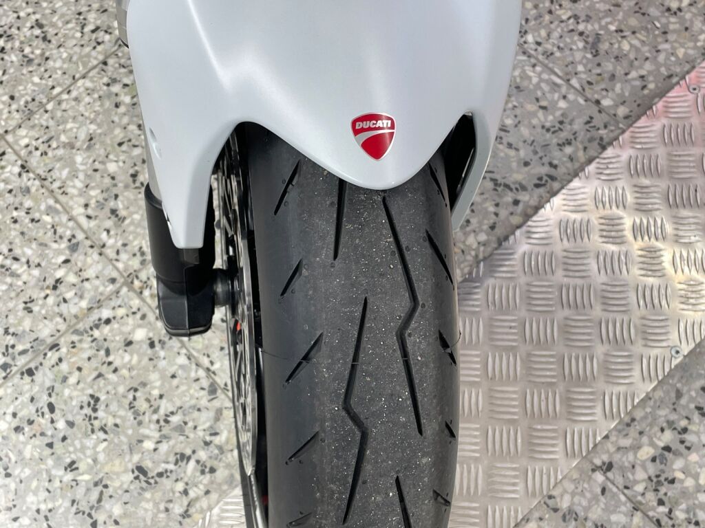 Ducati MONSTER 2019 Valkoinen