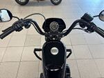 Harley-davidson SPORTSTER 2021 