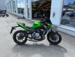 Kawasaki Z 2019 