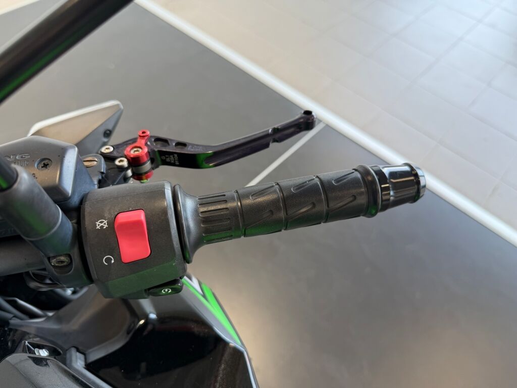 Kawasaki Z 2019 