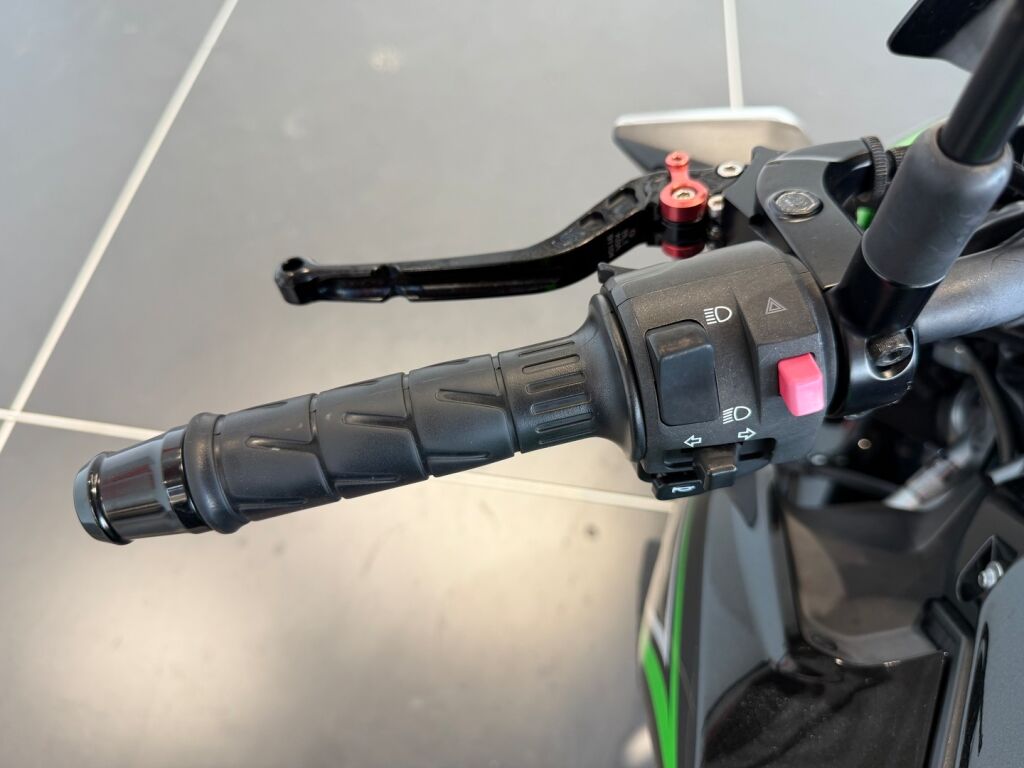 Kawasaki Z 2019 