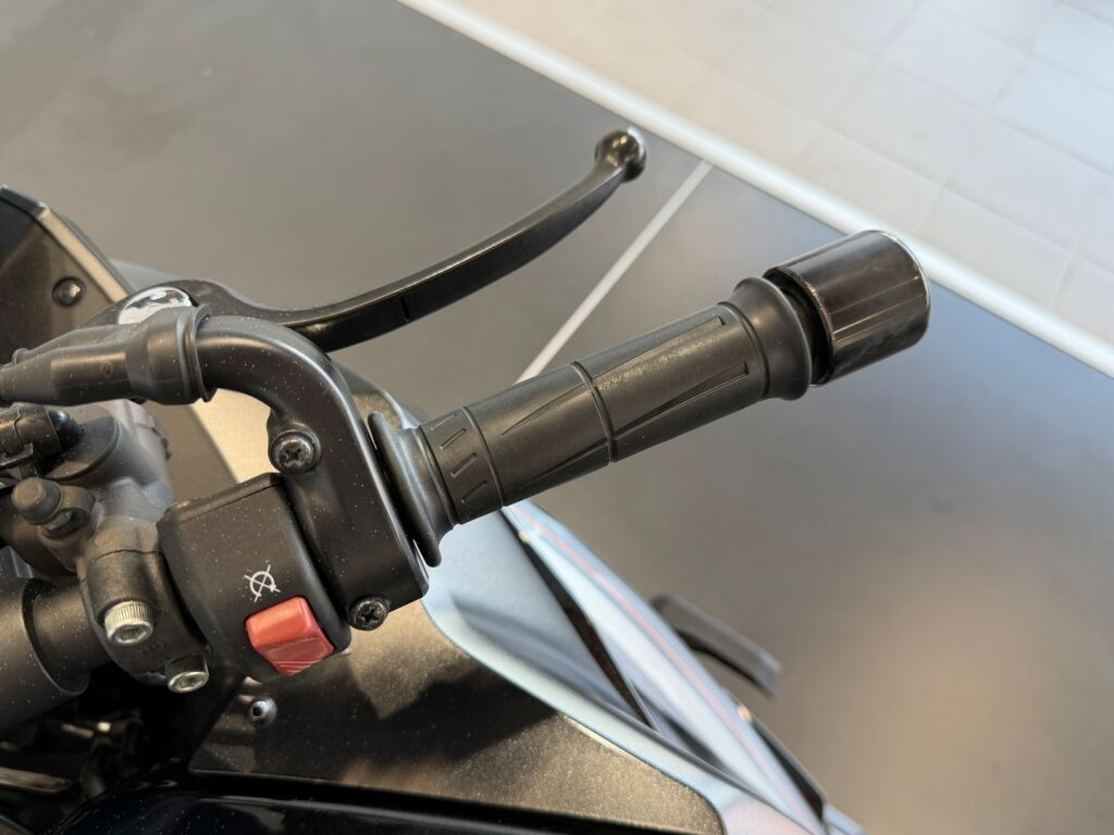 Kawasaki Z 2019 Harmaa