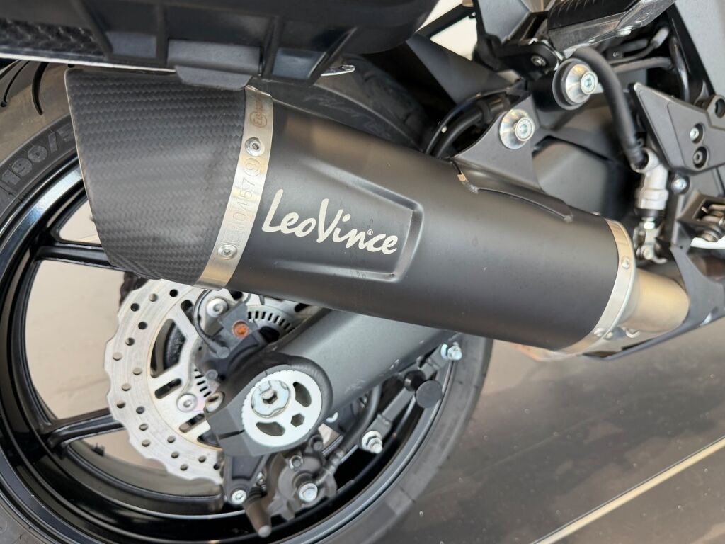 Kawasaki Z 2019 Harmaa