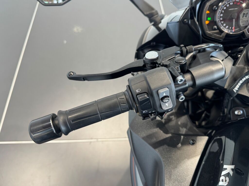 Kawasaki Z 2019 Harmaa