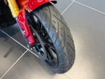 Indian SCOUT 2025 