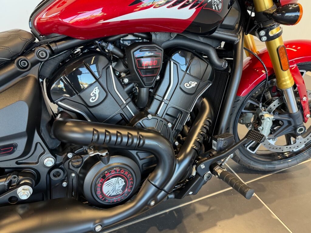 Indian SCOUT 2025 