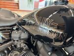 Harley-davidson SOFTAIL 2023 