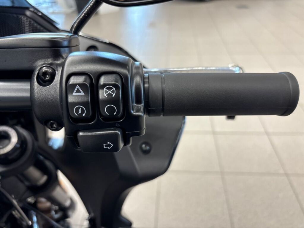 Harley-davidson SOFTAIL 2023 