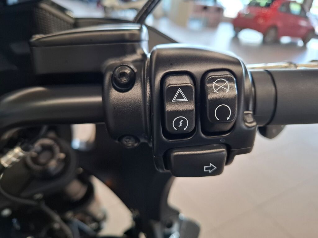 Harley-davidson SOFTAIL 2023 