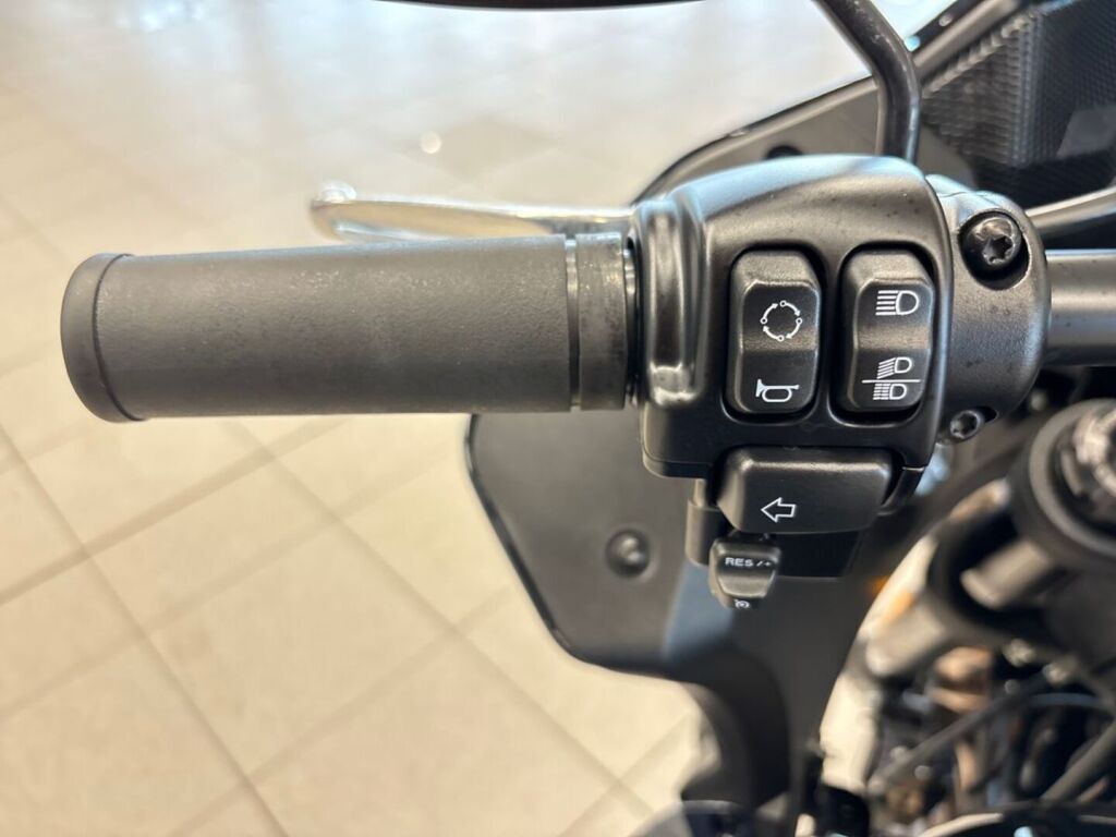 Harley-davidson SOFTAIL 2023 